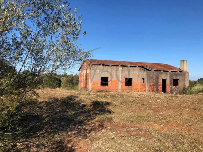 Terreno para Venda em Almoster Foto 3