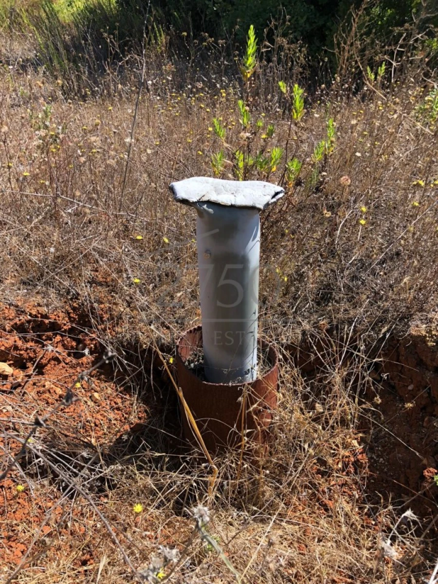 Terreno para Venda em Almoster Foto 12
