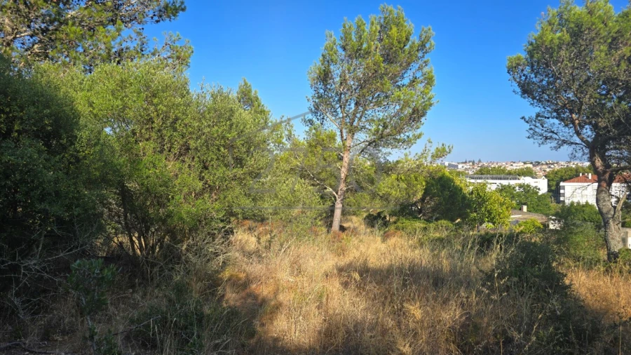 Terreno para Venda em Cascais e Estoril Foto 3