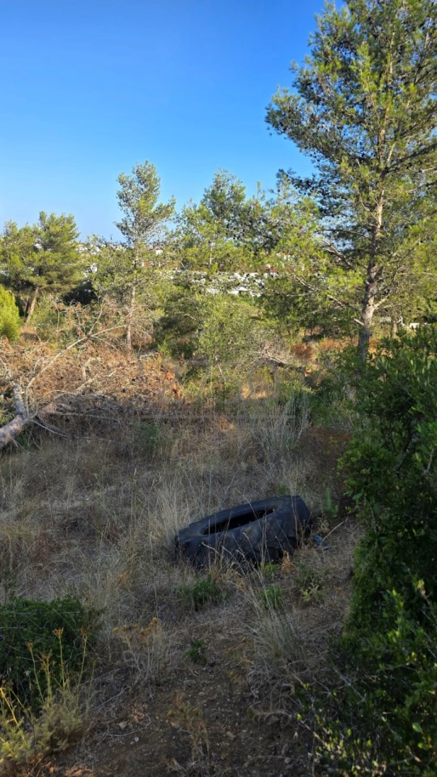 Terreno para Venda em Cascais e Estoril Foto 7