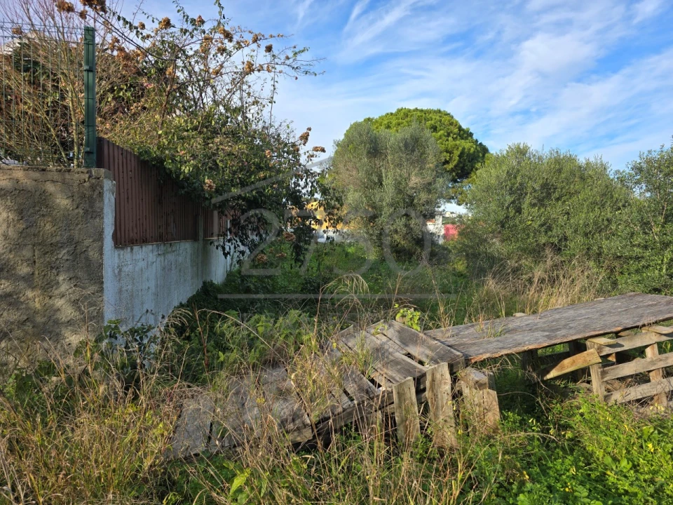 Terreno para Venda em Cascais e Estoril Foto 6