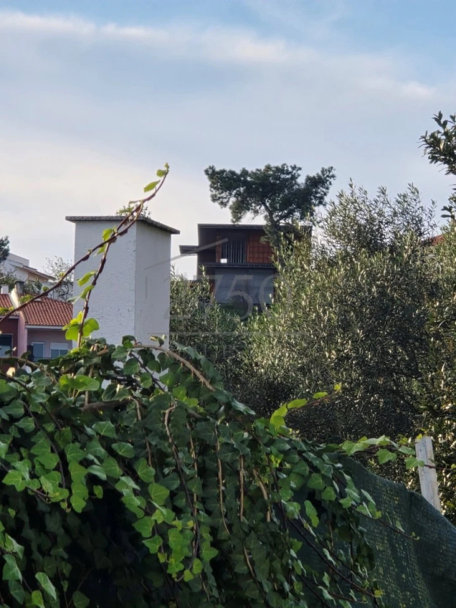 Terreno para Venda em Cascais e Estoril Foto 7