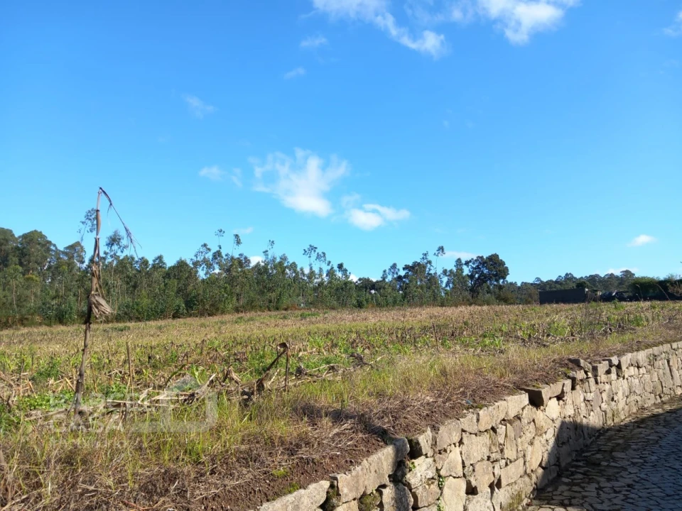 Terreno para Venda em Chorente, Góios, Courel, Pedra Furada e Gueral Foto 1