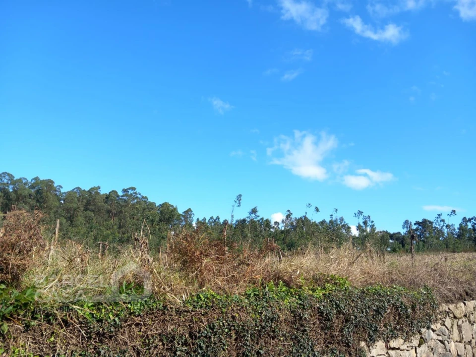 Terreno para Venda em Chorente, Góios, Courel, Pedra Furada e Gueral Foto 2