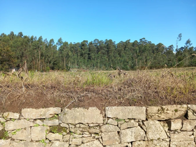Terreno para Venda em Chorente, Góios, Courel, Pedra Furada e Gueral Foto 6