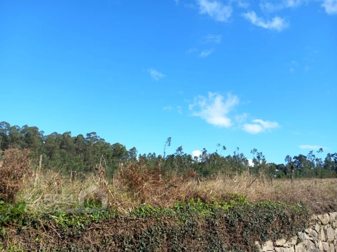 Terreno para Venda em Chorente, Góios, Courel, Pedra Furada e Gueral Foto 2