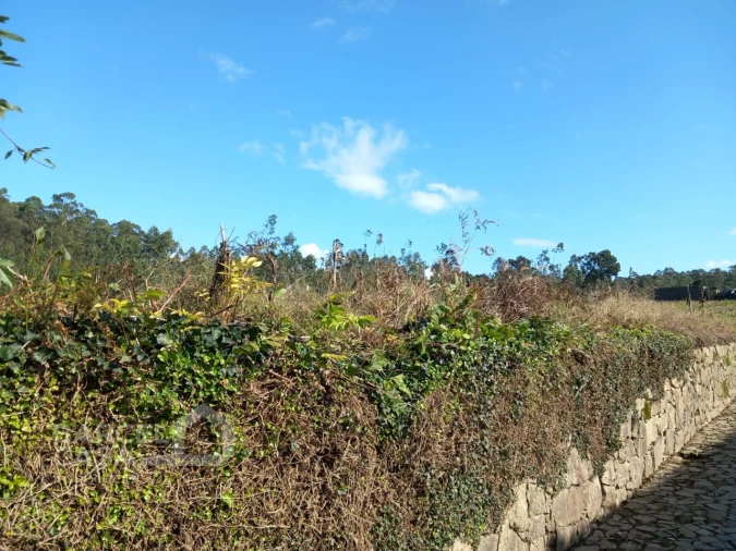 Terreno para Venda em Chorente, Góios, Courel, Pedra Furada e Gueral Foto 3