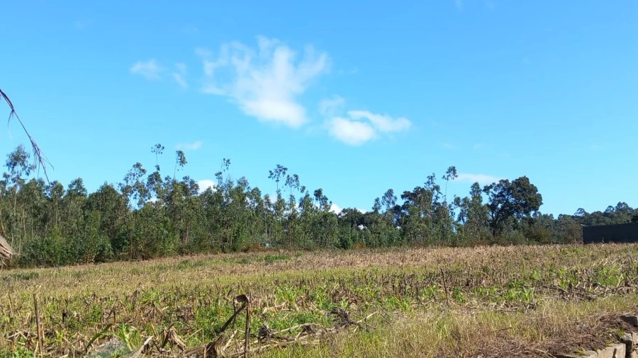 Terreno para Venda em Chorente, Góios, Courel, Pedra Furada e Gueral