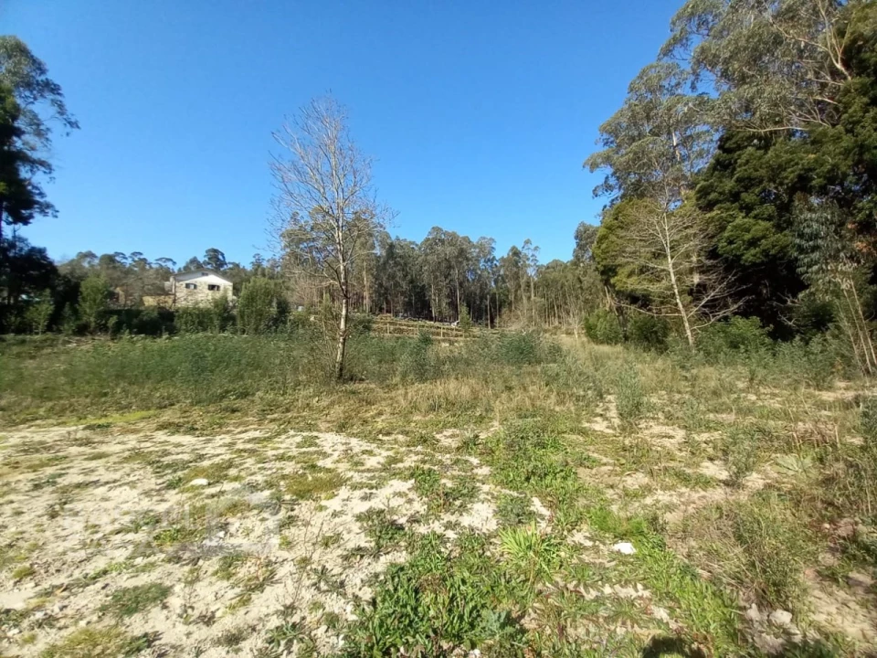 Terreno para Venda em Creixomil e Mariz Foto 12