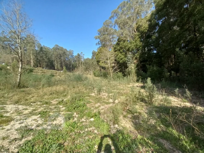 Terreno para Venda em Creixomil e Mariz Foto 14