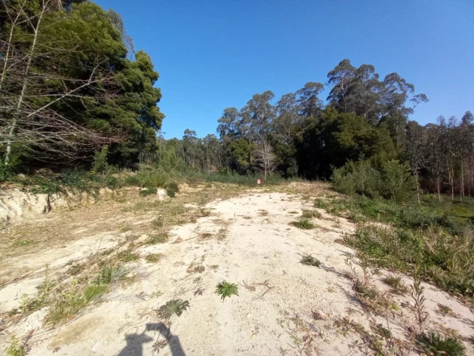 Terreno para Venda em Creixomil e Mariz Foto 6