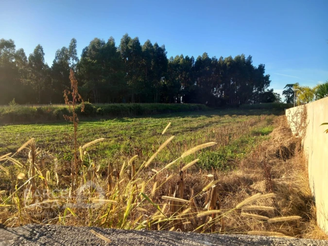 Terreno para Venda em Esposende, Marinhas e Gandra Foto 4