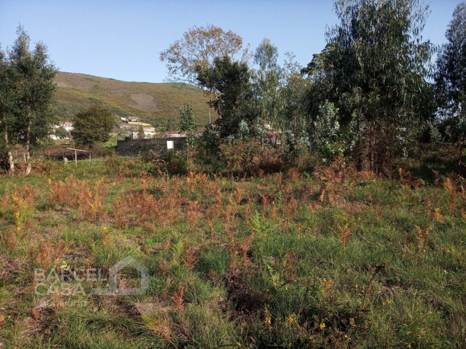 Terreno para Venda em Barroselas e Carvoeiro Foto 12