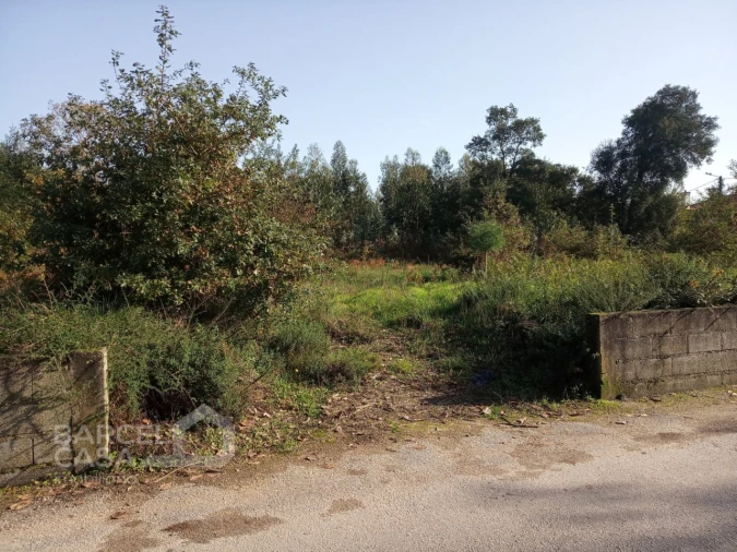 Terreno para Venda em Barroselas e Carvoeiro Foto 11