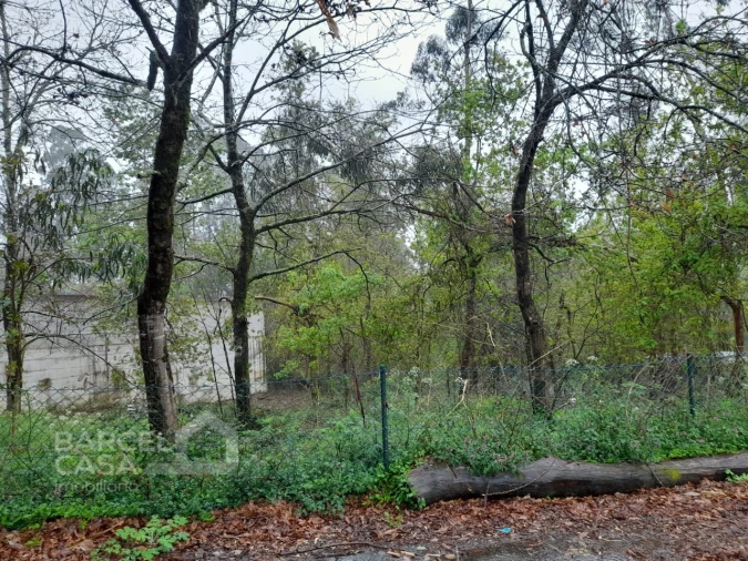 Terreno para Venda em Alvito (São Pedro e São Martinho) e Couto Foto 4