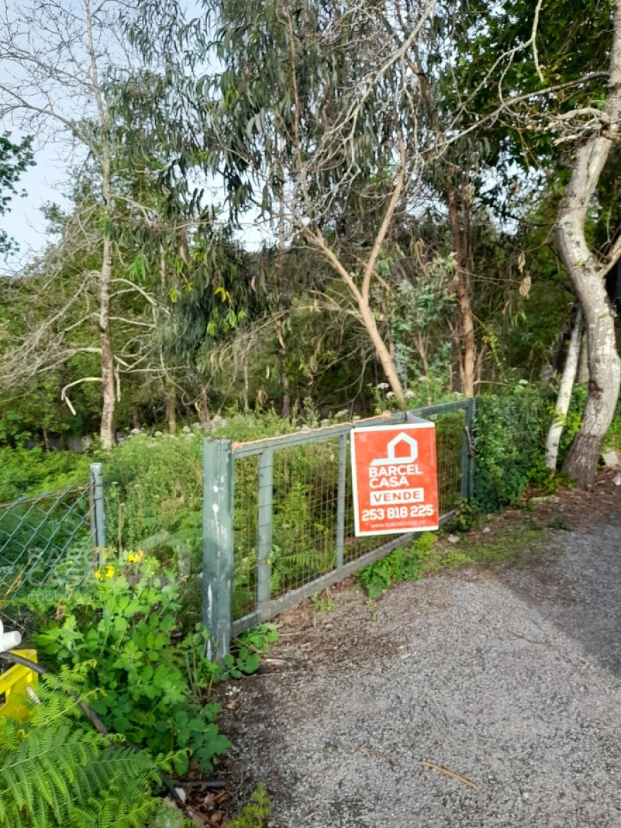 Terreno para Venda em Alvito (São Pedro e São Martinho) e Couto Foto 7