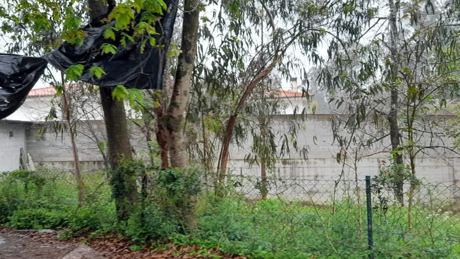 Terreno para Venda em Alvito (São Pedro e São Martinho) e Couto