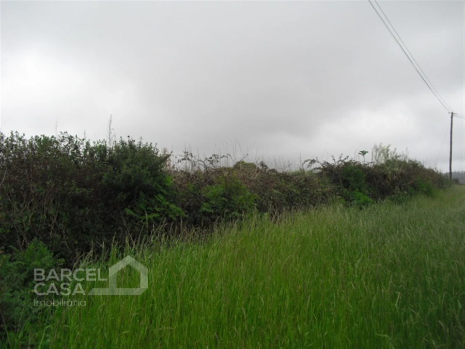 Terreno para Venda em Vila Cova e Feitos Foto 3