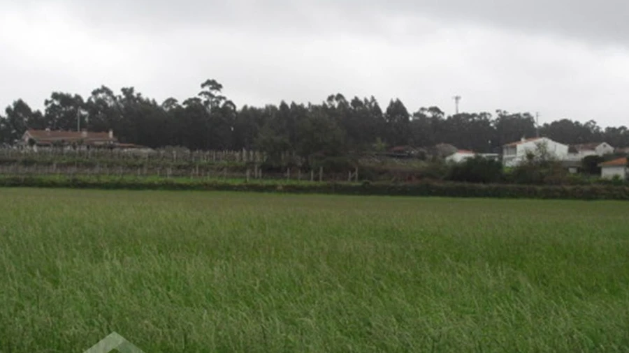 Terreno para Venda em Vila Cova e Feitos