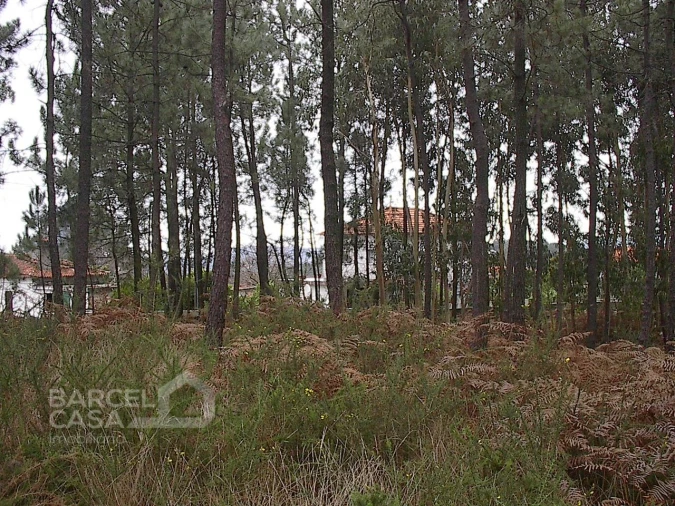 Terreno para Venda em Fragoso Foto 1