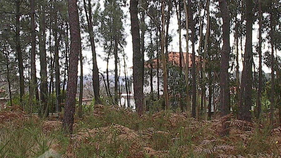 Terreno para Venda em Fragoso
