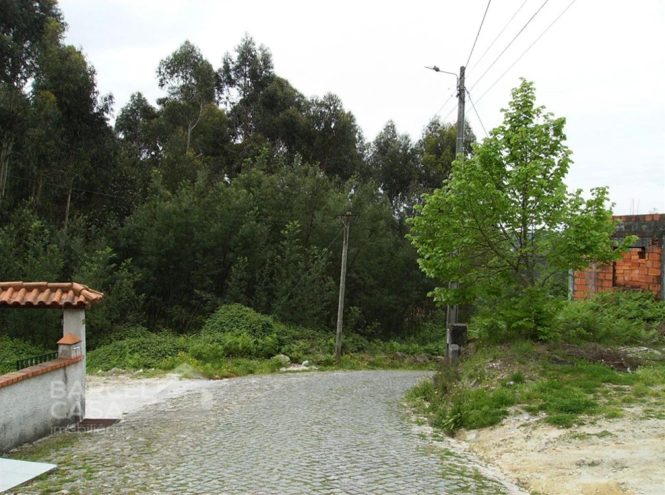 Terreno para Venda em Aldreu Foto 4