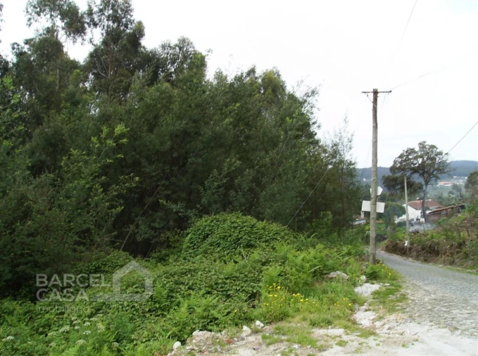 Terreno para Venda em Aldreu Foto 3