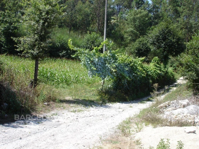 Terreno para Venda em Areias de Vilar e Encourados Foto 6