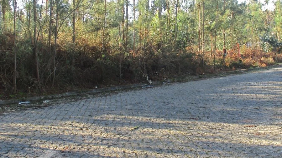 Terreno para Venda em Remelhe