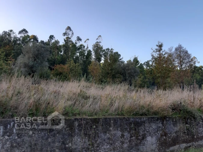 Terreno para Venda em Oliveira Foto 2