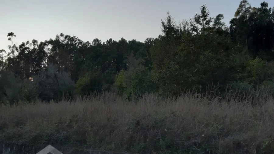 Terreno para Venda em Oliveira