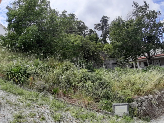 Terreno para Venda em Durrães e Tregosa Foto 3