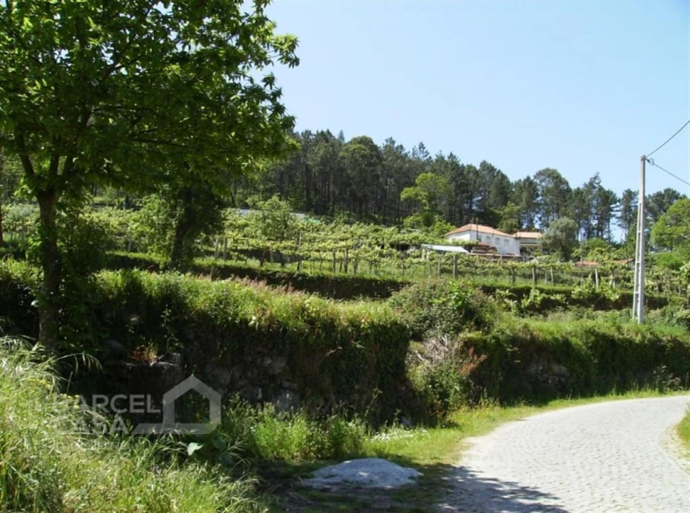 Terreno para Venda em Panque Foto 2