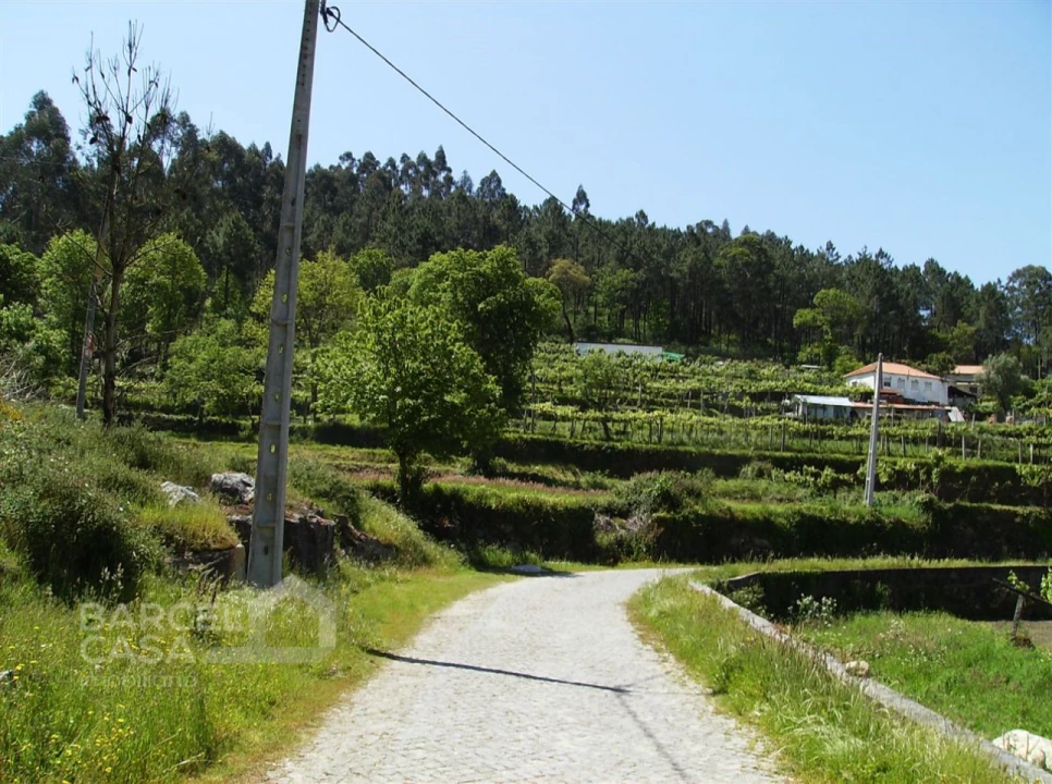 Terreno para Venda em Panque Foto 4