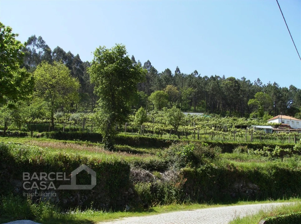Terreno para Venda em Panque Foto 8