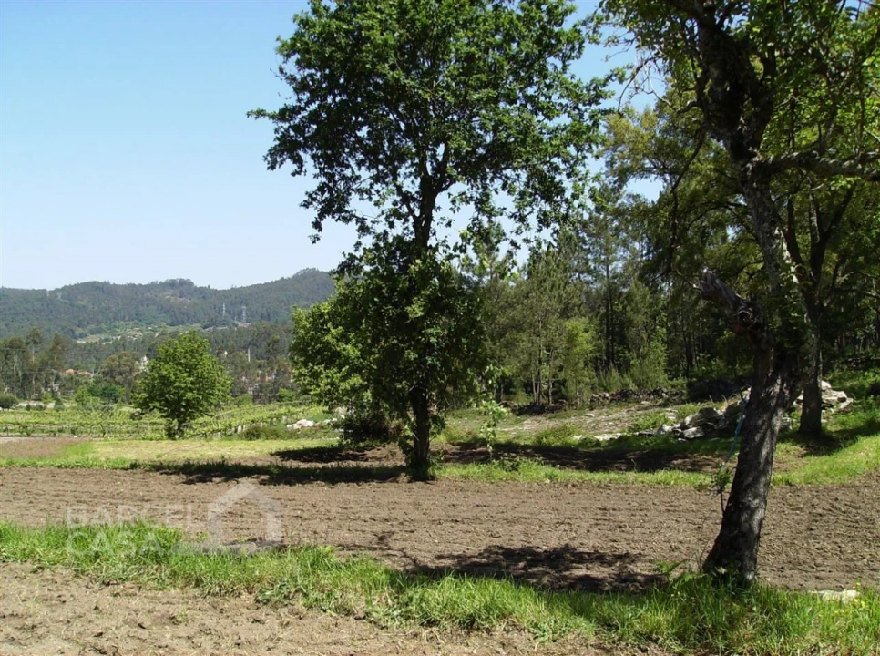 Terreno para Venda em Panque Foto 9