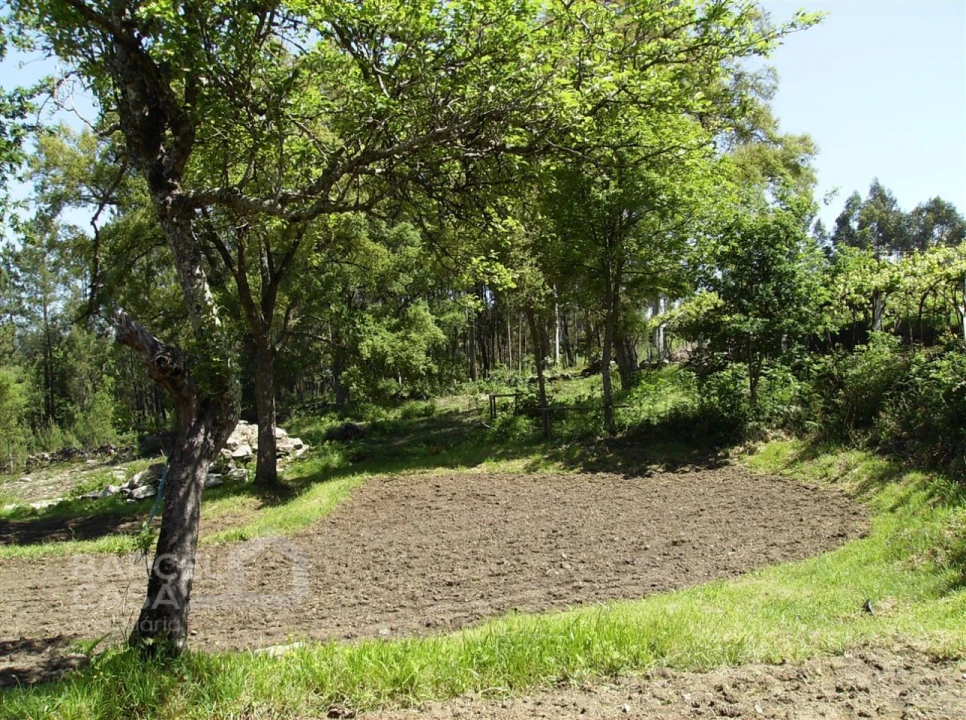 Terreno para Venda em Panque Foto 11