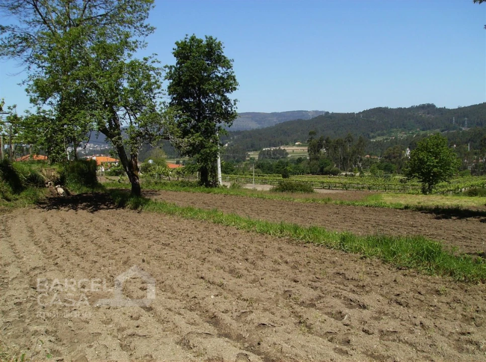 Terreno para Venda em Panque Foto 12