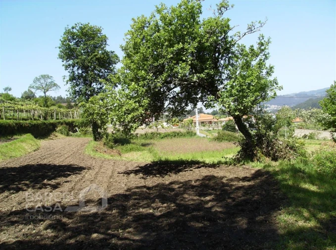 Terreno para Venda em Panque Foto 1