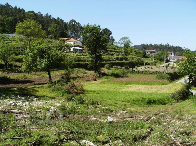 Terreno para Venda em Panque Foto 6