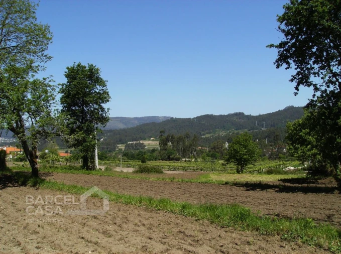 Terreno para Venda em Panque Foto 10