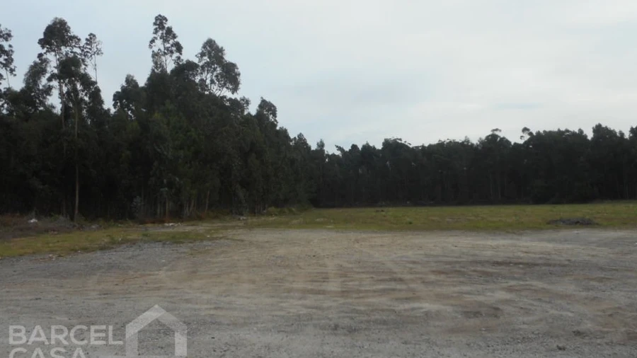 Terreno para Venda em Esposende, Marinhas e Gandra