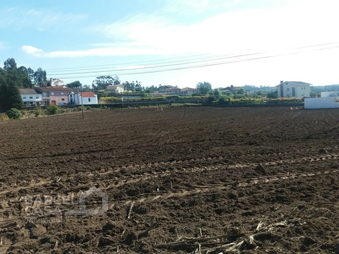 Terreno para Venda em Alvelos Foto 2