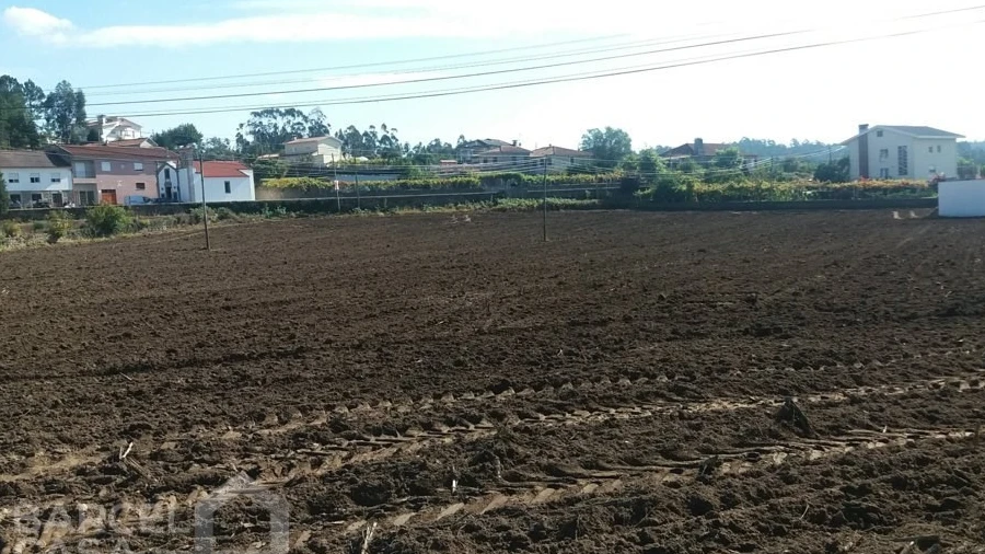Terreno para Venda em Alvelos