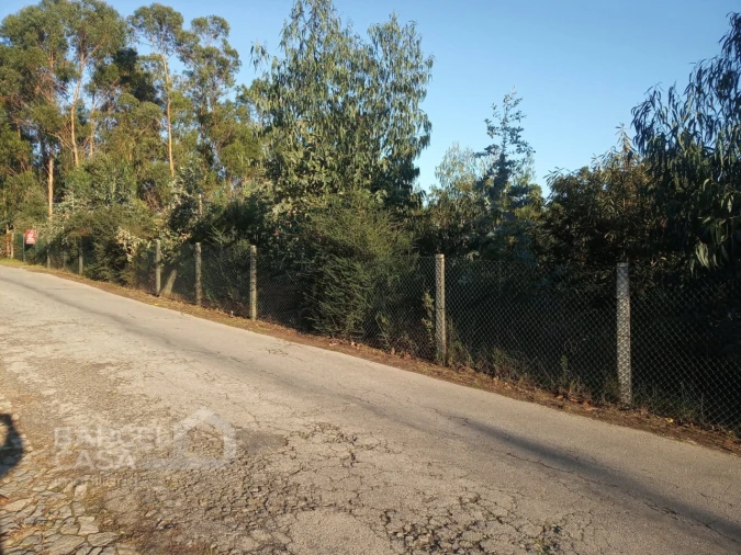 Terreno para Venda em Sequeade e Bastuço (São João e Santo Estêvão) Foto 1