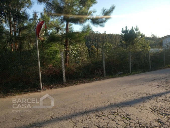 Terreno para Venda em Sequeade e Bastuço (São João e Santo Estêvão) Foto 2