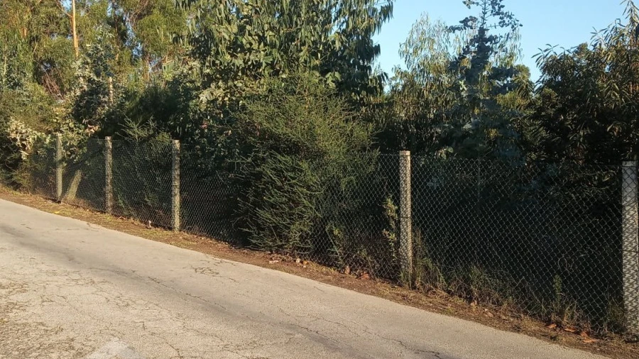 Terreno para Venda em Sequeade e Bastuço (São João e Santo Estêvão)