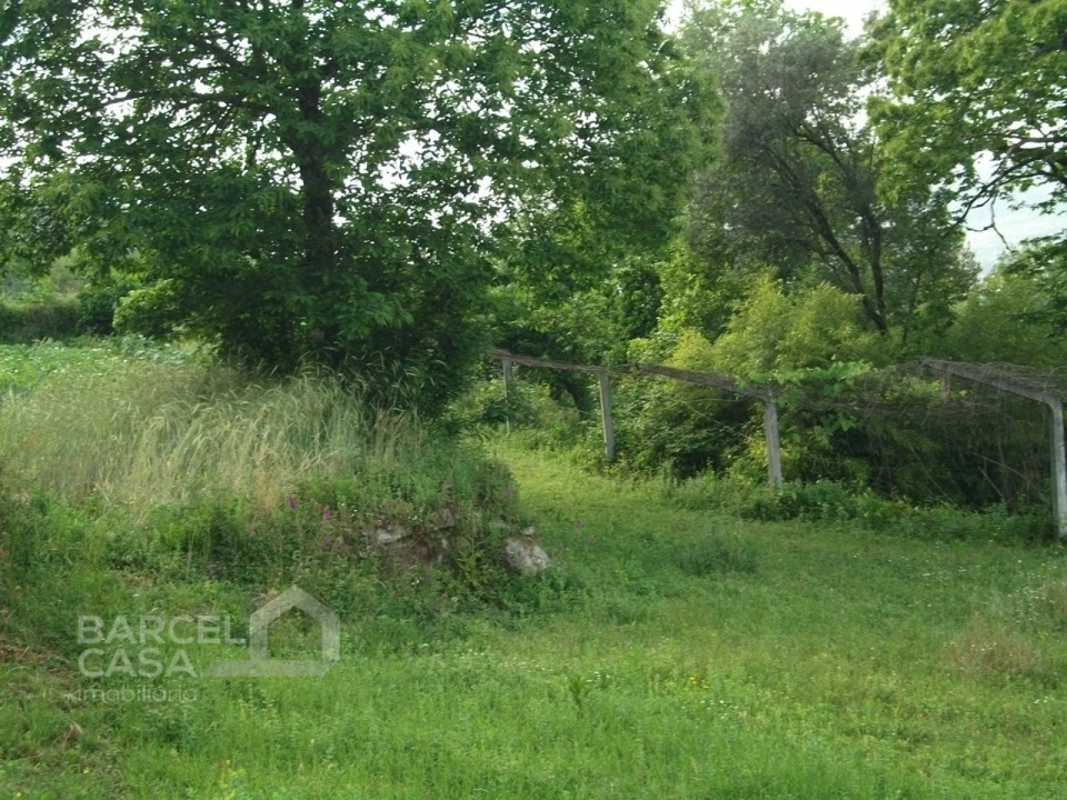 Terreno para Venda em Quintiães e Aguiar Foto 3