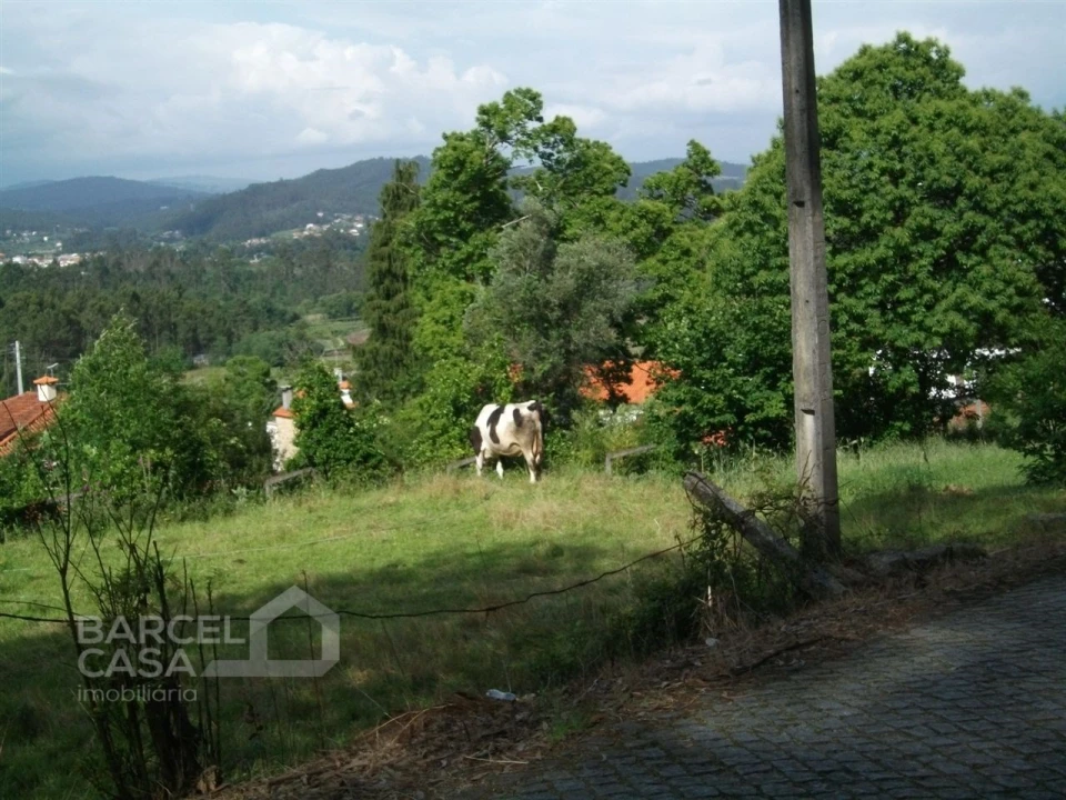 Terreno para Venda em Quintiães e Aguiar Foto 12