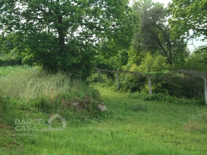 Terreno para Venda em Quintiães e Aguiar Foto 3